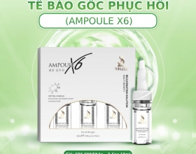 Giải pháp điều trị mụn bằng tế bào gốc