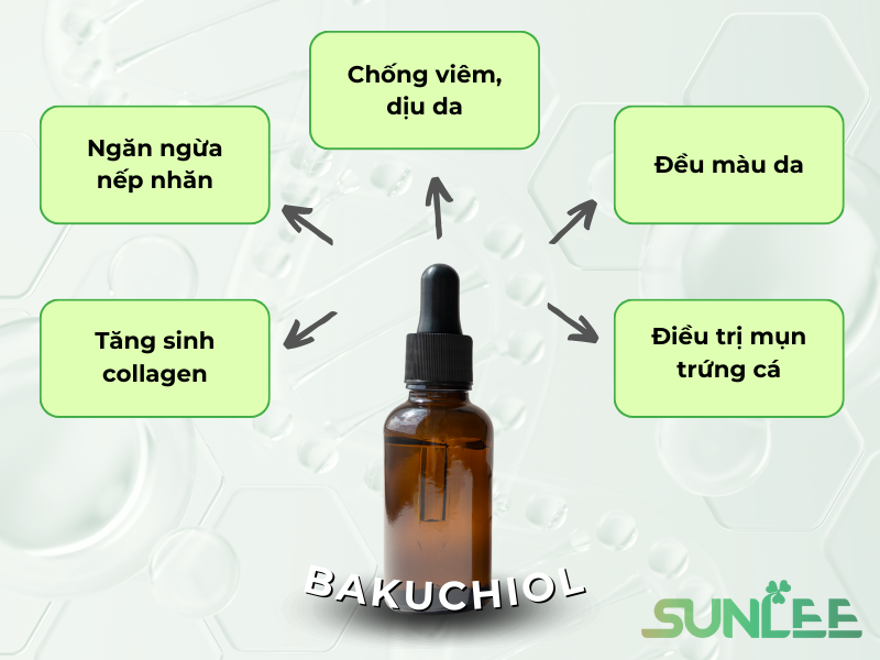 Hoạt chất Bakuchiol trong chăm sóc da